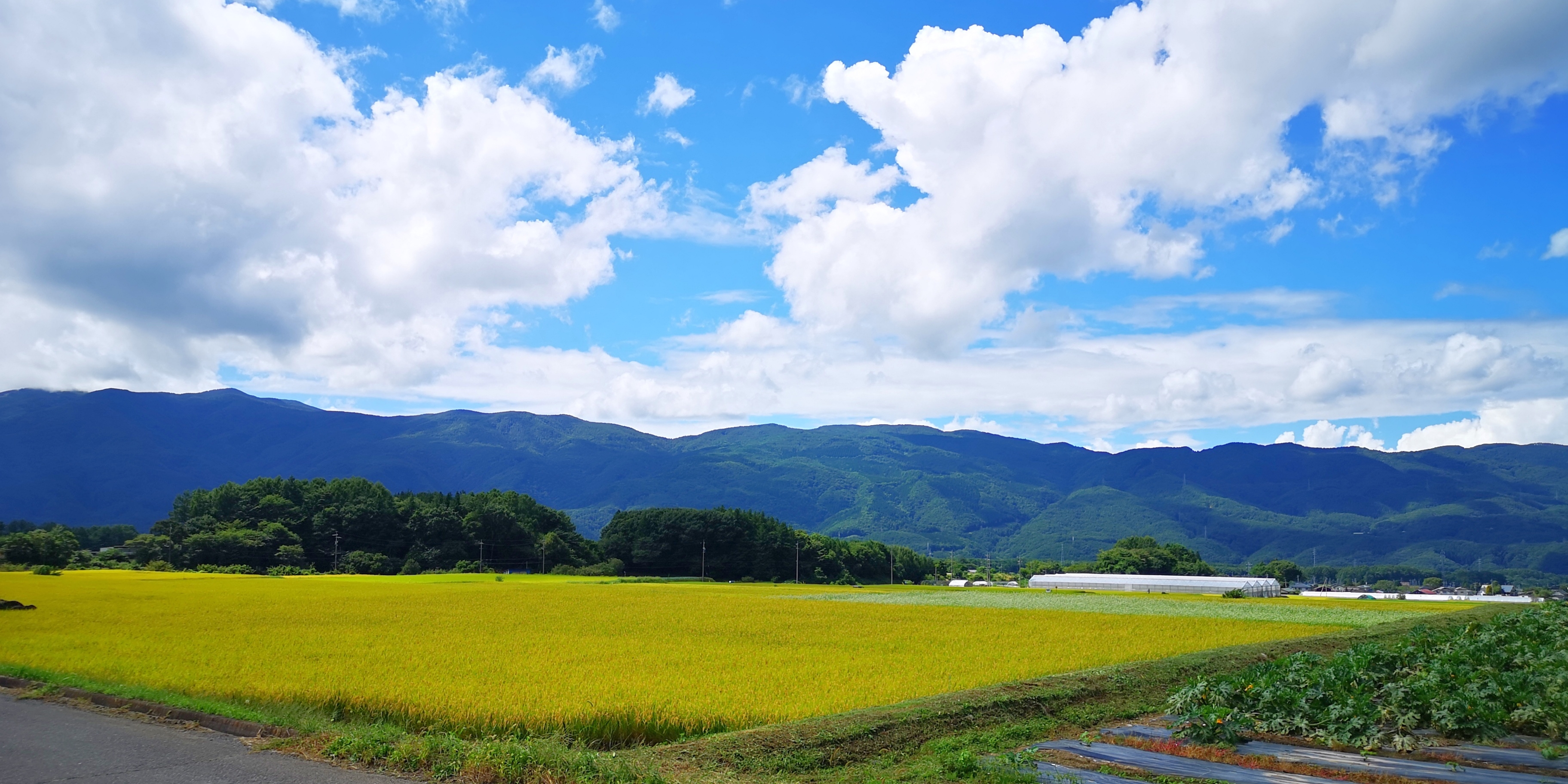 http://www.alpico.co.jp/shikinomori/news/images/IMG_20240910_132907.jpg