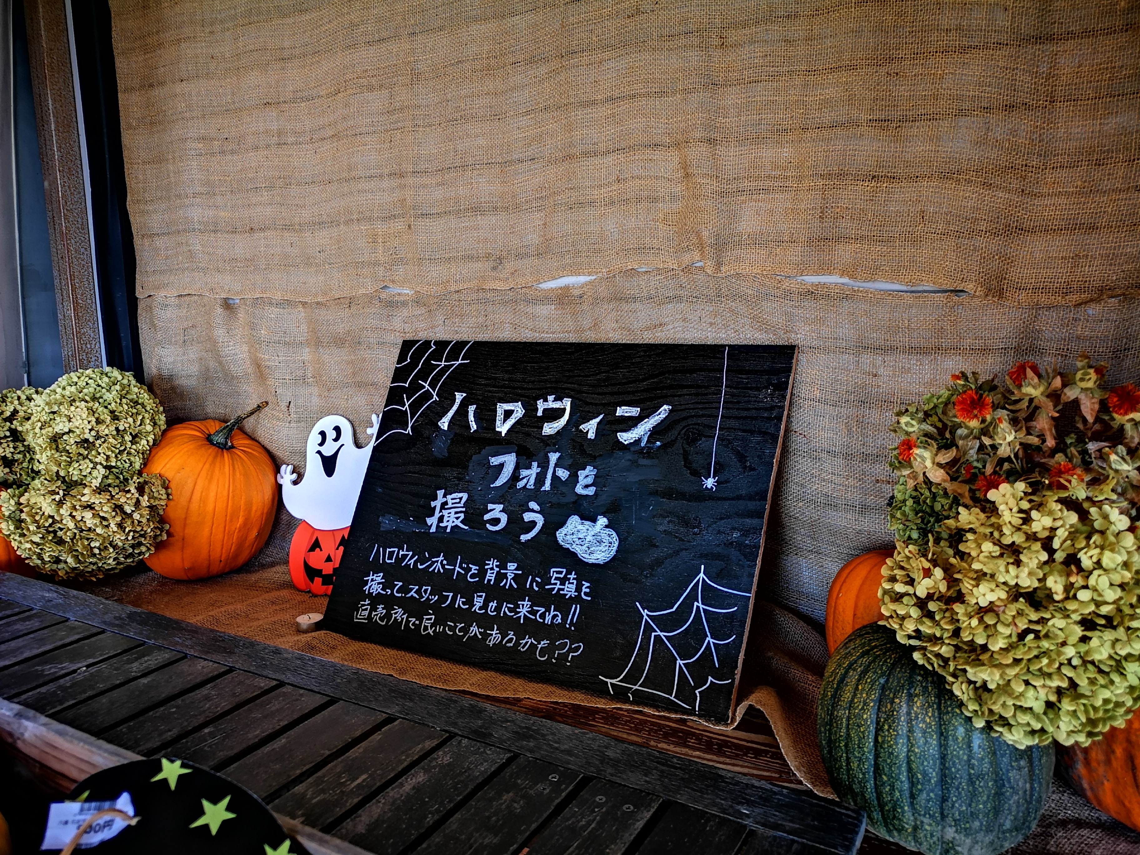 http://www.alpico.co.jp/shikinomori/news/images/IMG_20240914_145354.jpg