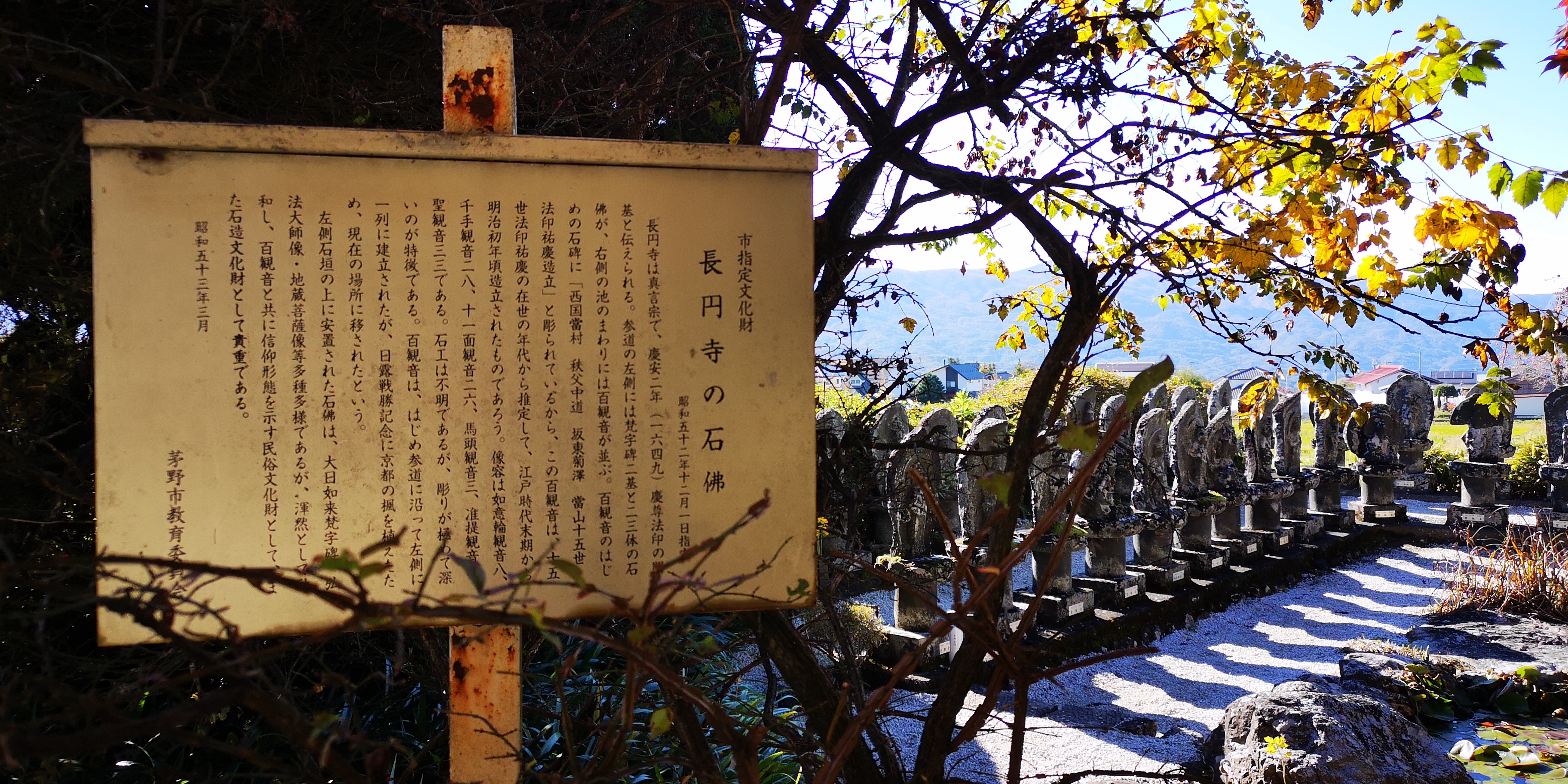 http://www.alpico.co.jp/shikinomori/news/images/IMG_20241107_132927.jpg