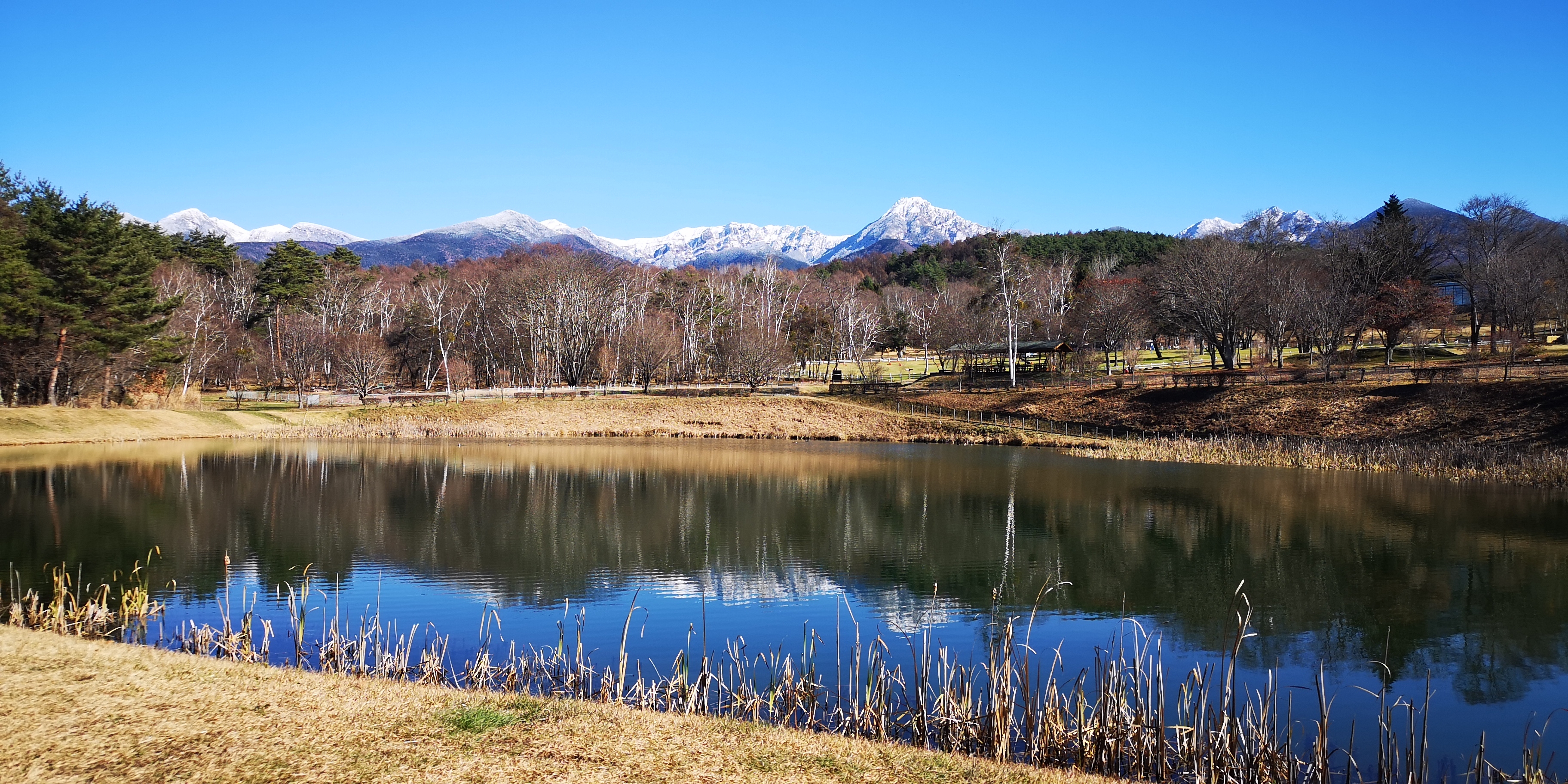 http://www.alpico.co.jp/shikinomori/news/images/IMG_20241202_121557.jpg