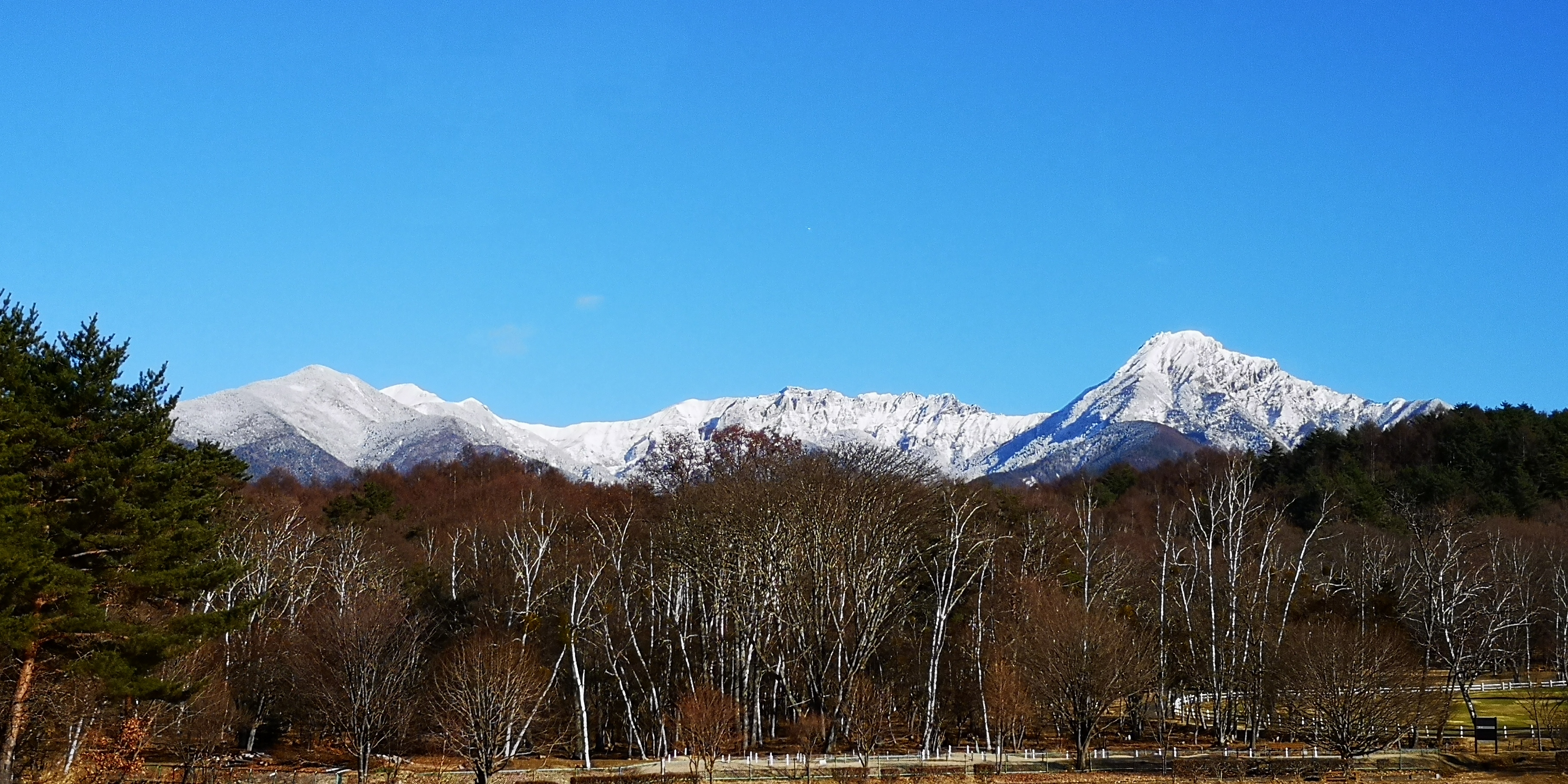 http://www.alpico.co.jp/shikinomori/news/images/IMG_20250101_135414.jpg