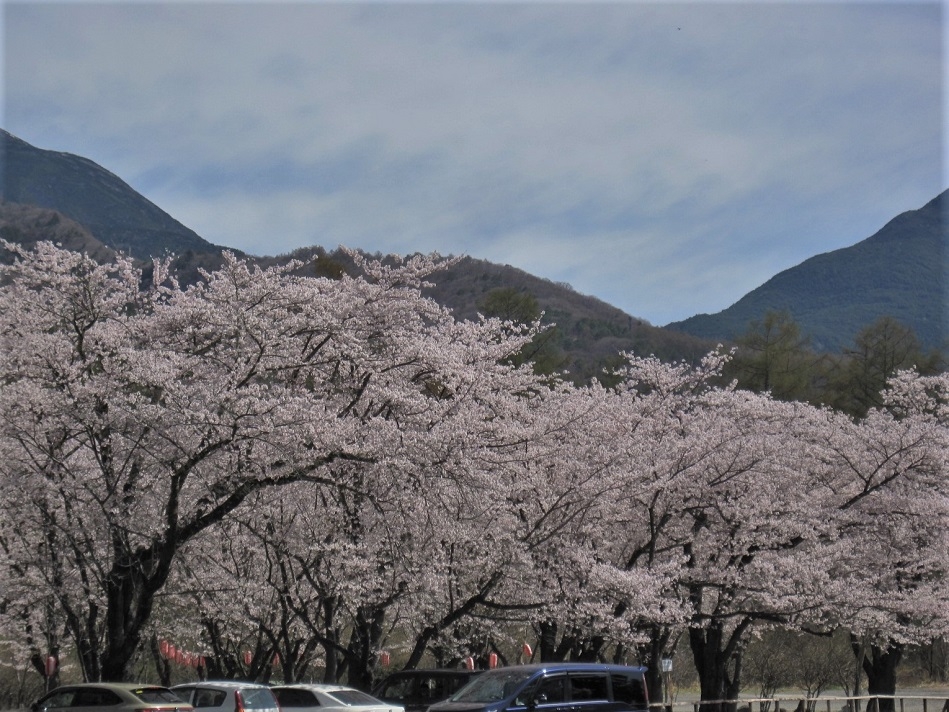 http://www.alpico.co.jp/shikinomori/news/images/IMG_5028.JPG