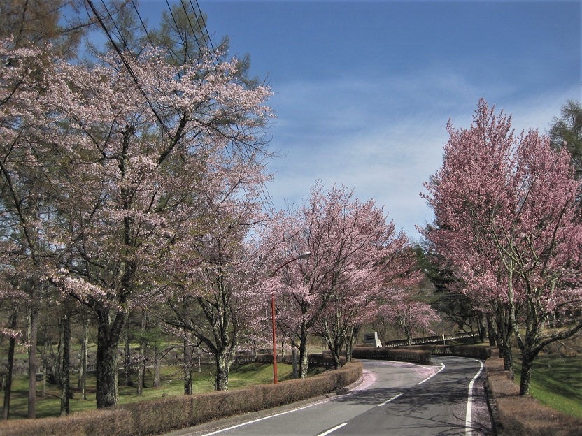http://www.alpico.co.jp/shikinomori/news/images/IMG_5033.JPG