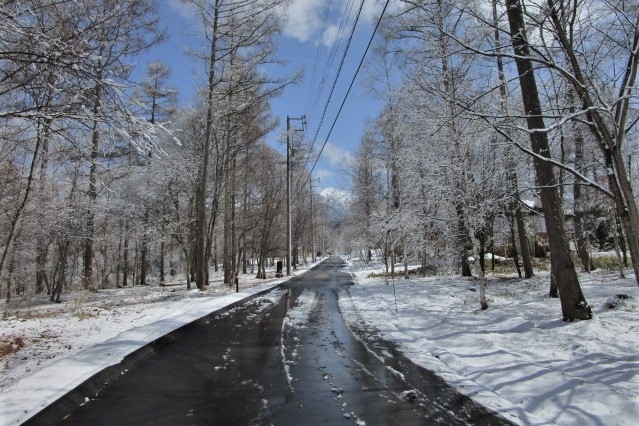 http://www.alpico.co.jp/shikinomori/news/images/IMG_6736.JPG