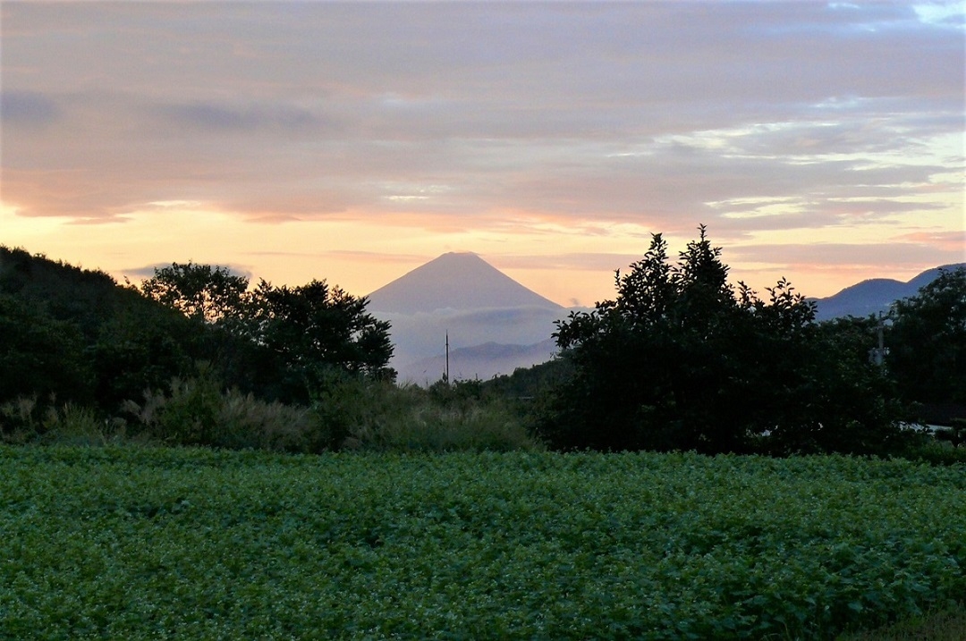 http://www.alpico.co.jp/shikinomori/news/images/P1040882.JPG