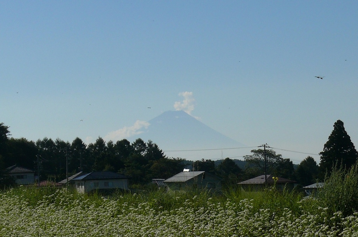 http://www.alpico.co.jp/shikinomori/news/images/P1040897.JPG