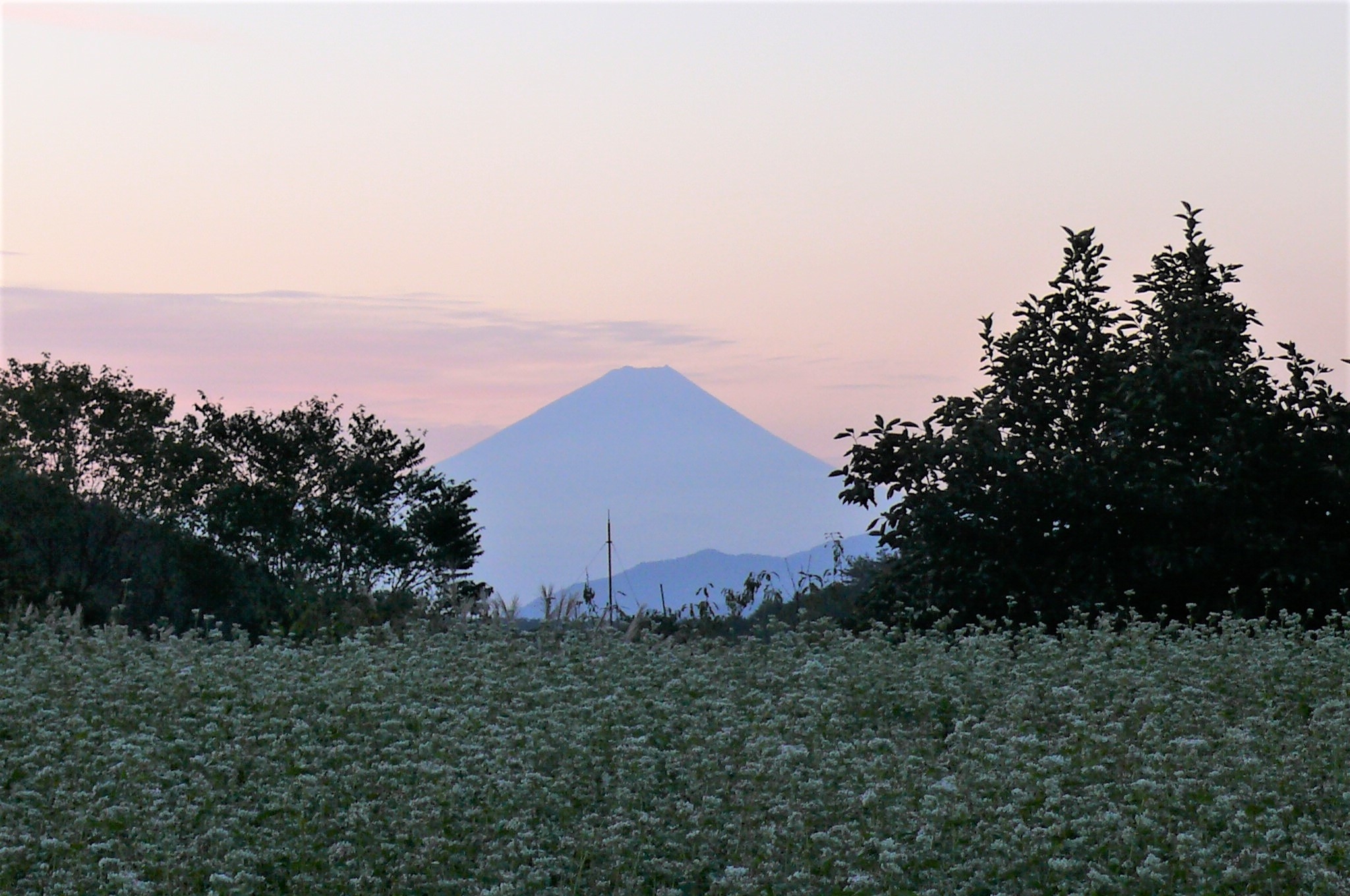http://www.alpico.co.jp/shikinomori/news/images/P1050377.JPG
