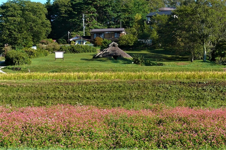 http://www.alpico.co.jp/shikinomori/news/images/P1050388.JPG