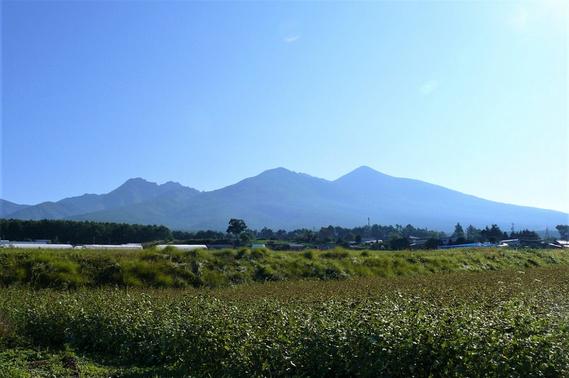 http://www.alpico.co.jp/shikinomori/news/images/P1050392.JPG