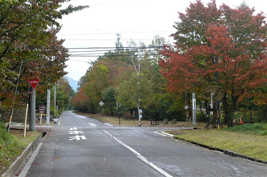 http://www.alpico.co.jp/shikinomori/news/images/P1050522.JPG