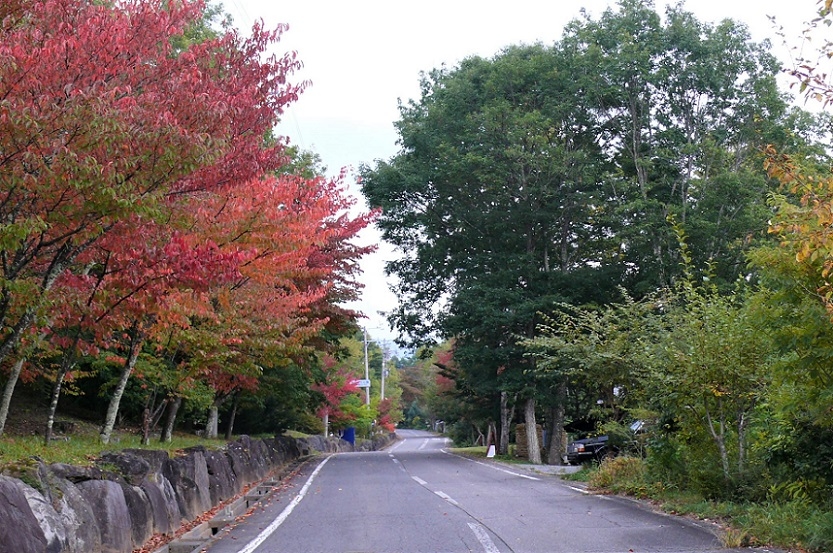 http://www.alpico.co.jp/shikinomori/news/images/P1050534.JPG