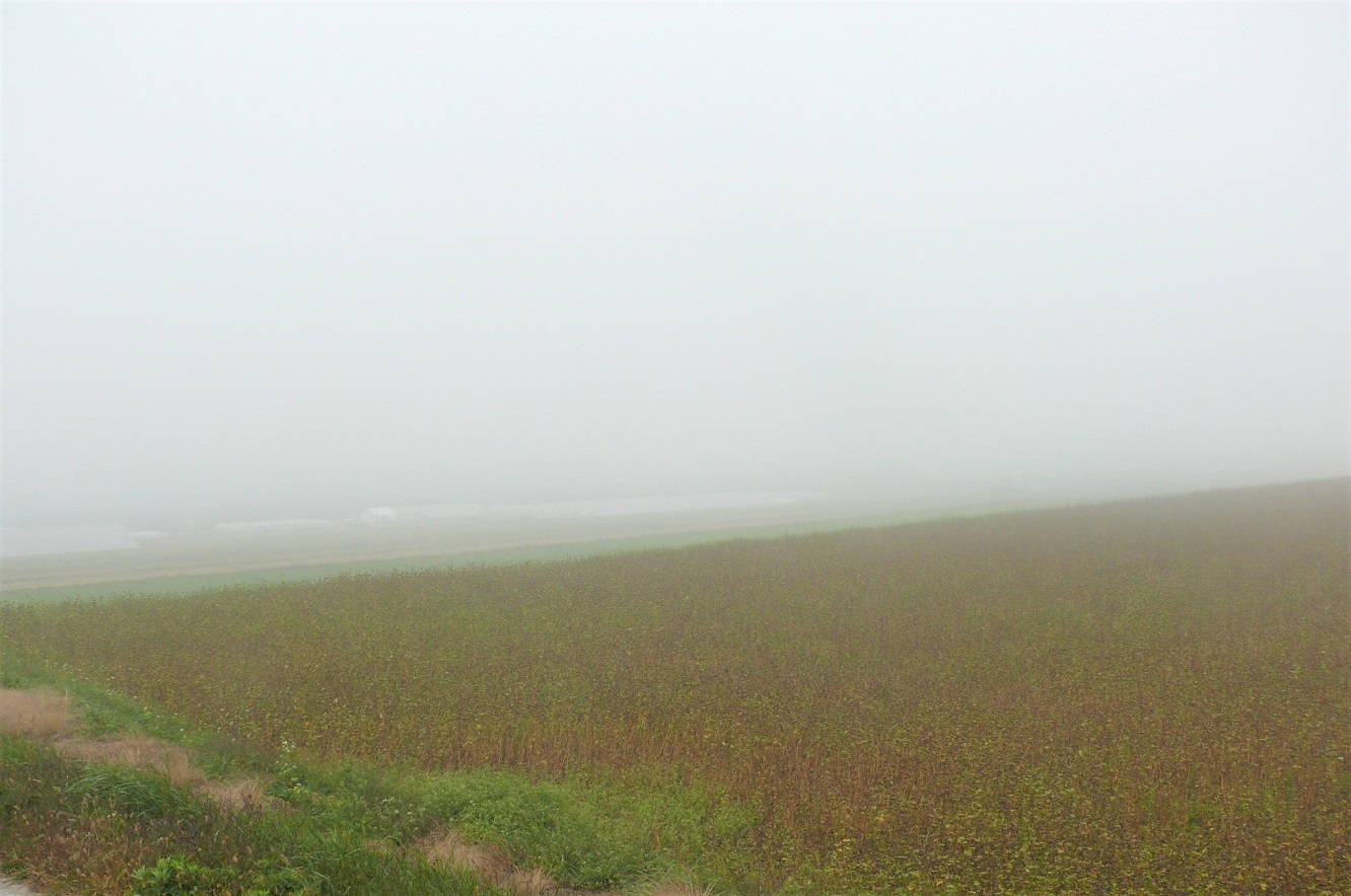http://www.alpico.co.jp/shikinomori/news/images/P1050732.JPG