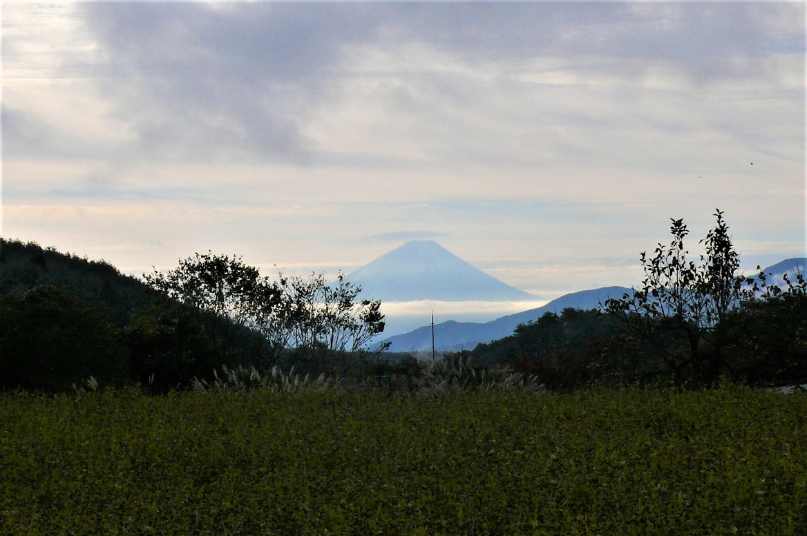 http://www.alpico.co.jp/shikinomori/news/images/P1050897.JPG