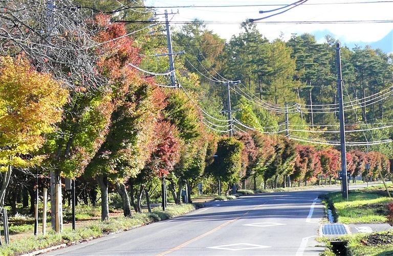 http://www.alpico.co.jp/shikinomori/news/images/P1060048.JPG