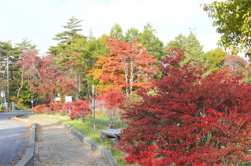 http://www.alpico.co.jp/shikinomori/news/images/P1060105%20%282%29.JPG