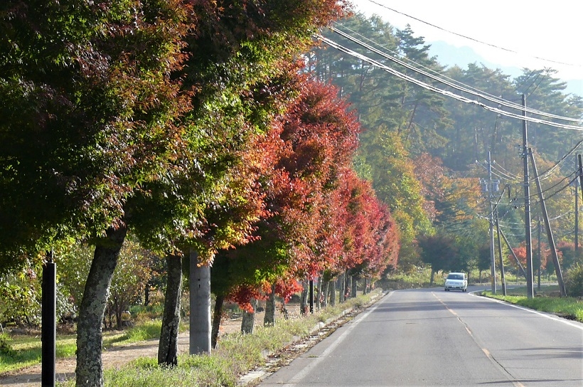 http://www.alpico.co.jp/shikinomori/news/images/P1060109.JPG