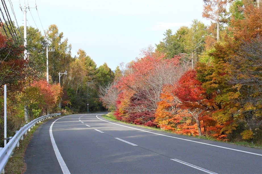 http://www.alpico.co.jp/shikinomori/news/images/P1060151.JPG