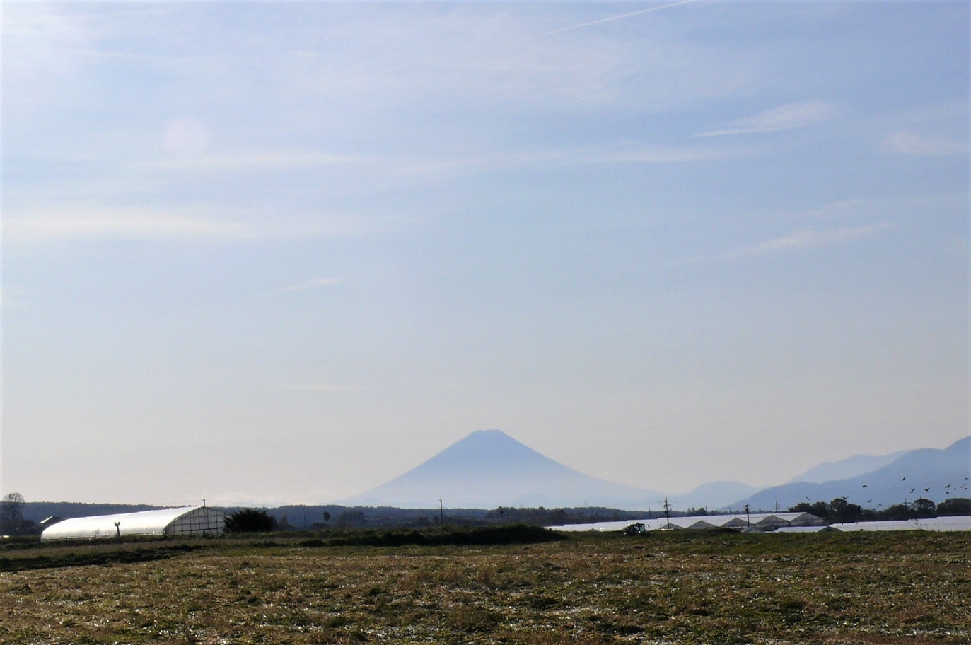 http://www.alpico.co.jp/shikinomori/news/images/P1060263.JPG