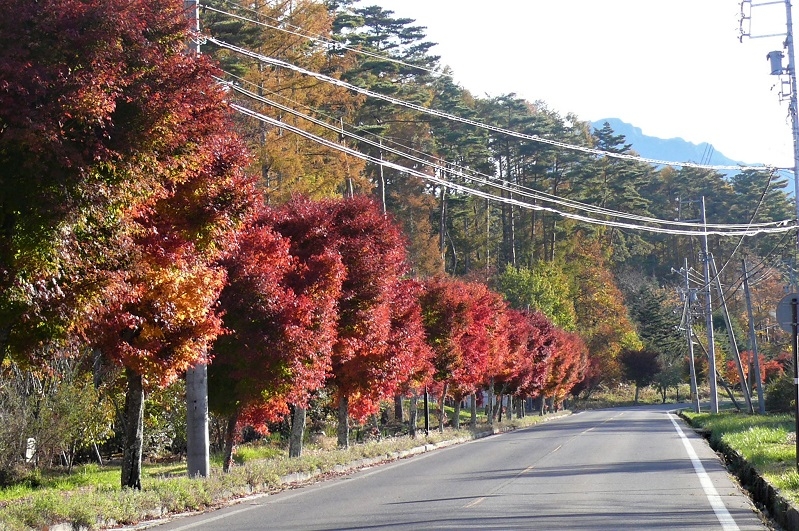 http://www.alpico.co.jp/shikinomori/news/images/P1060264.JPG