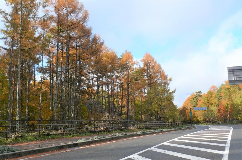 http://www.alpico.co.jp/shikinomori/news/images/P1060292.JPG