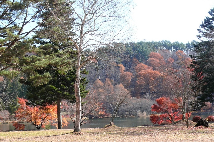 http://www.alpico.co.jp/shikinomori/news/images/P1060585.JPG