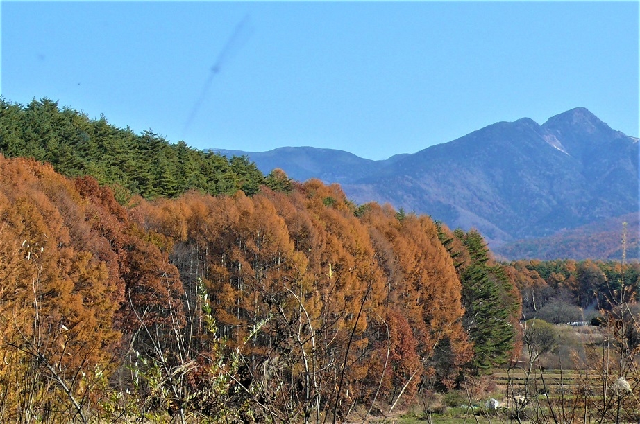 http://www.alpico.co.jp/shikinomori/news/images/P1060601.JPG