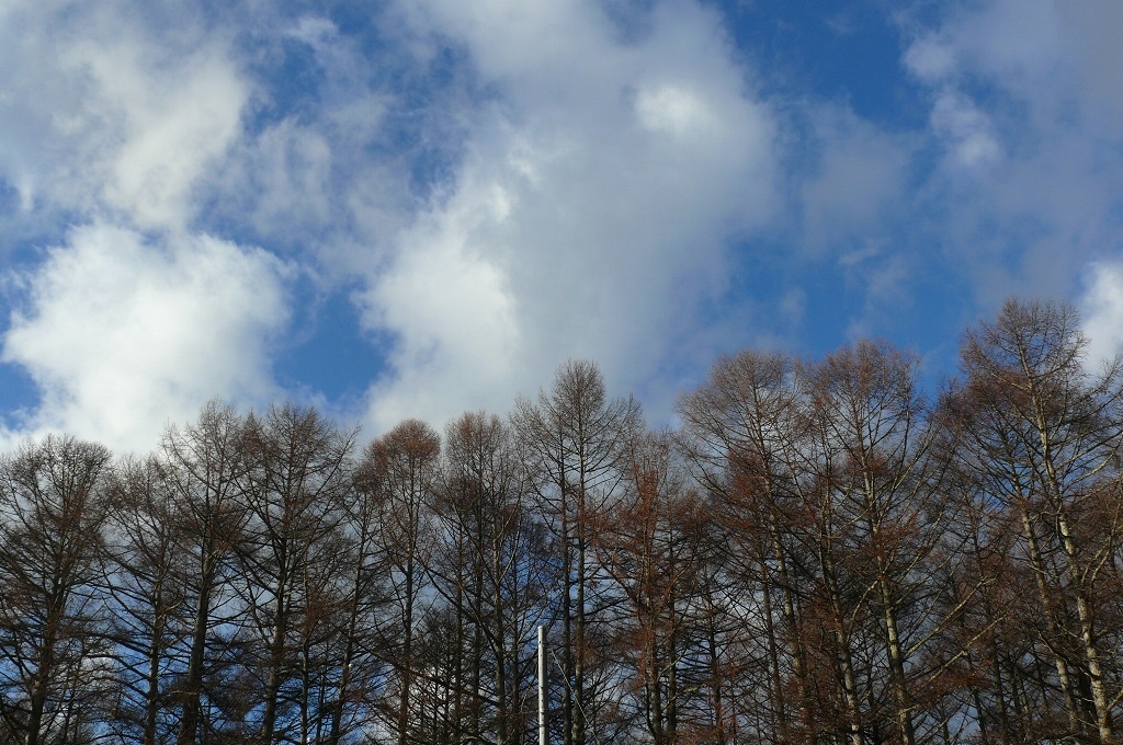 http://www.alpico.co.jp/shikinomori/news/images/P1070067.JPG