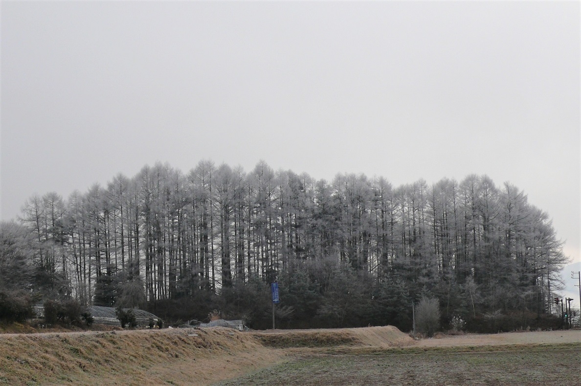 http://www.alpico.co.jp/shikinomori/news/images/P1070220.JPG