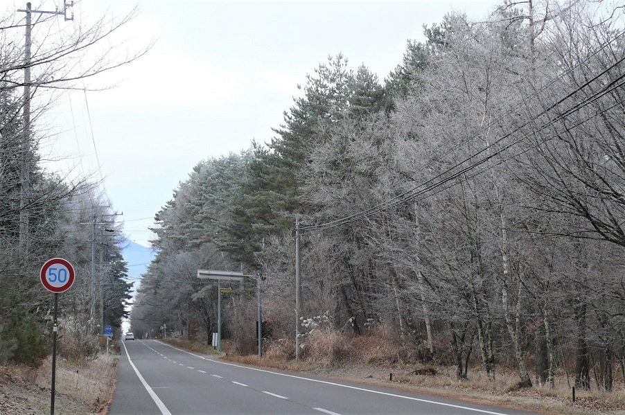 http://www.alpico.co.jp/shikinomori/news/images/P1070229.JPG