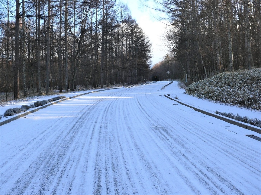 http://www.alpico.co.jp/shikinomori/news/images/P1070545.JPG