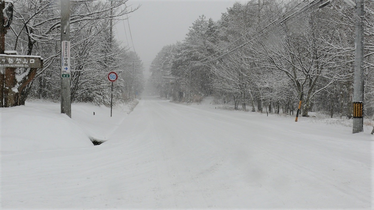 http://www.alpico.co.jp/shikinomori/news/images/P1070815.JPG