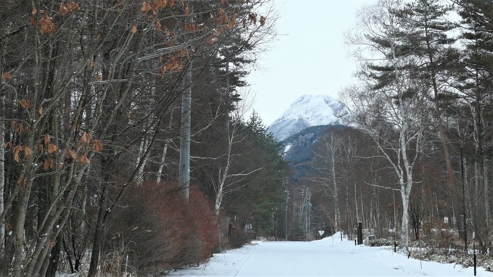 http://www.alpico.co.jp/shikinomori/news/images/P1070936.JPG