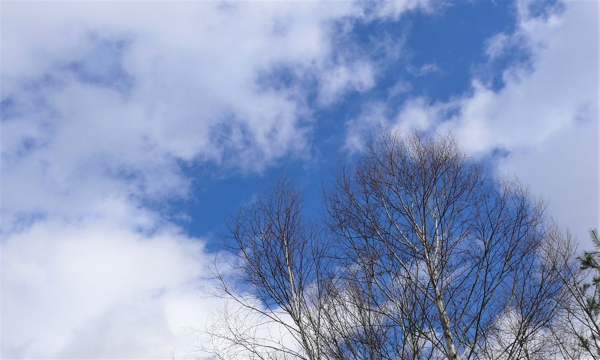 http://www.alpico.co.jp/shikinomori/news/images/P1080282.JPG
