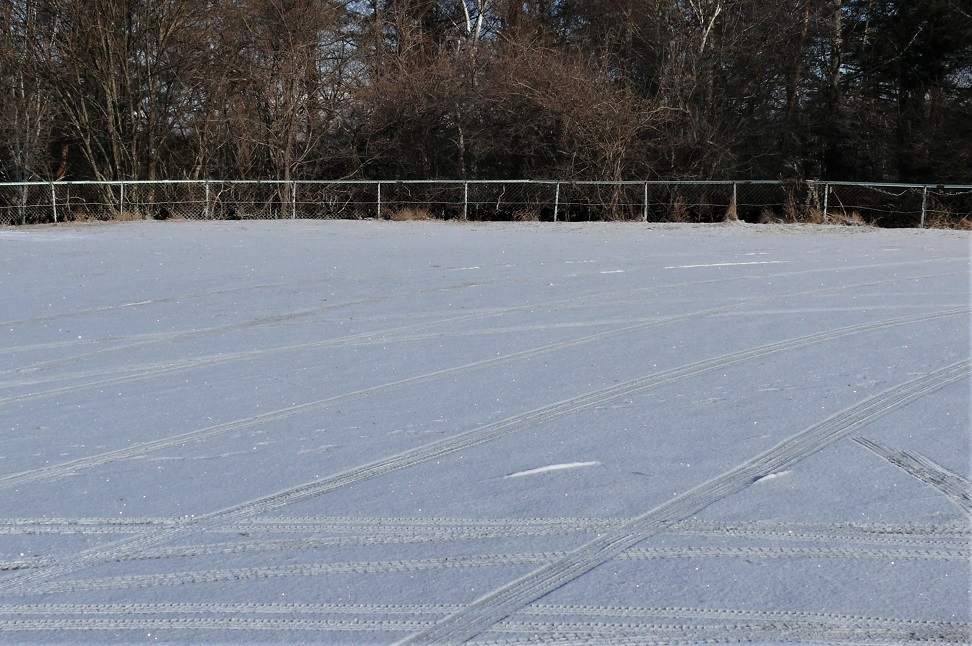 http://www.alpico.co.jp/shikinomori/news/images/P1080363.JPG