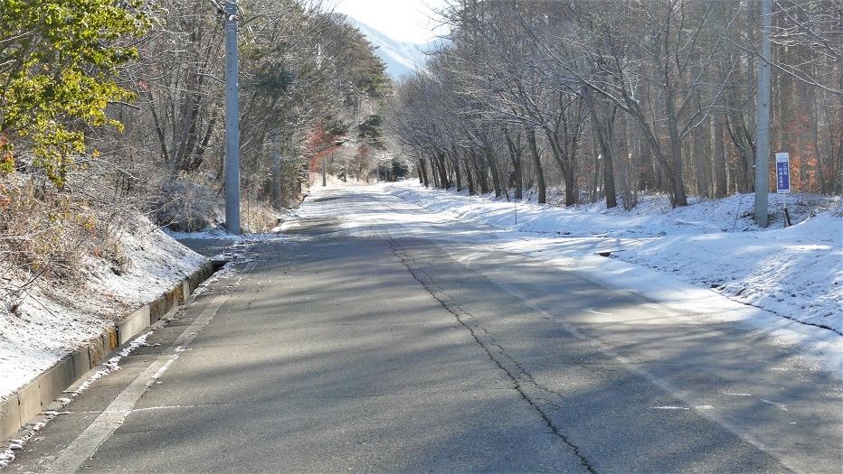 http://www.alpico.co.jp/shikinomori/news/images/P1080780.JPG