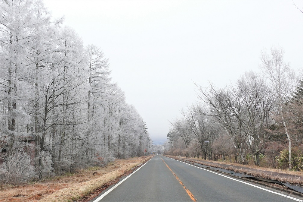 http://www.alpico.co.jp/shikinomori/news/images/P1080864.JPG