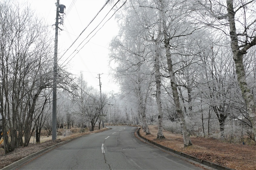 http://www.alpico.co.jp/shikinomori/news/images/P1080872.JPG