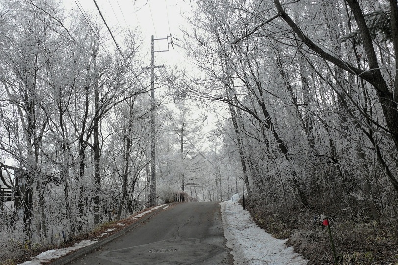 http://www.alpico.co.jp/shikinomori/news/images/P1080884.JPG