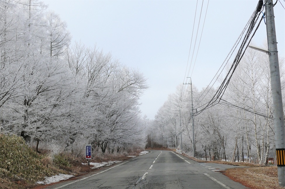 http://www.alpico.co.jp/shikinomori/news/images/P1080889.JPG
