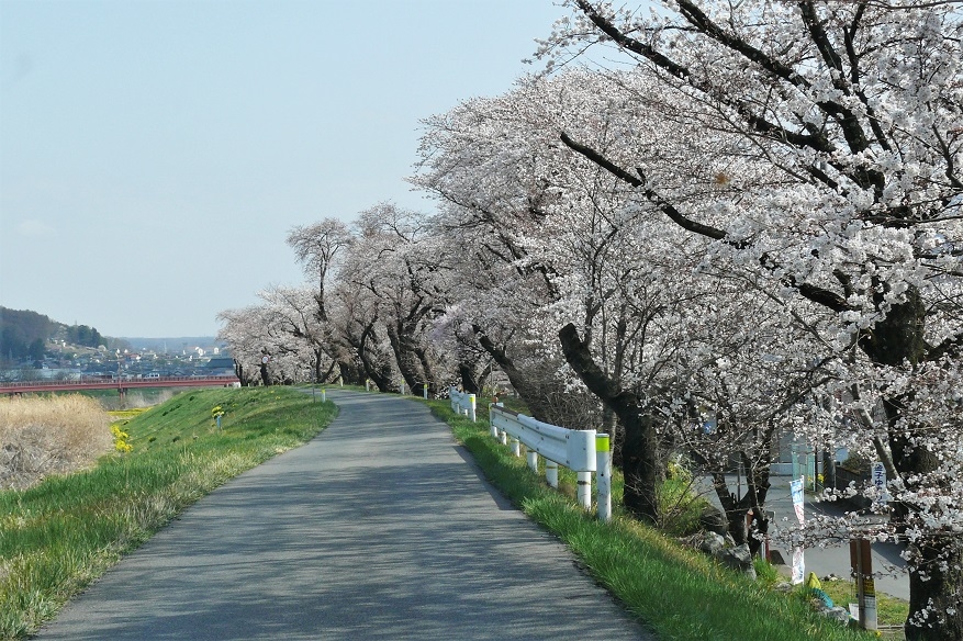 http://www.alpico.co.jp/shikinomori/news/images/P1090787.JPG