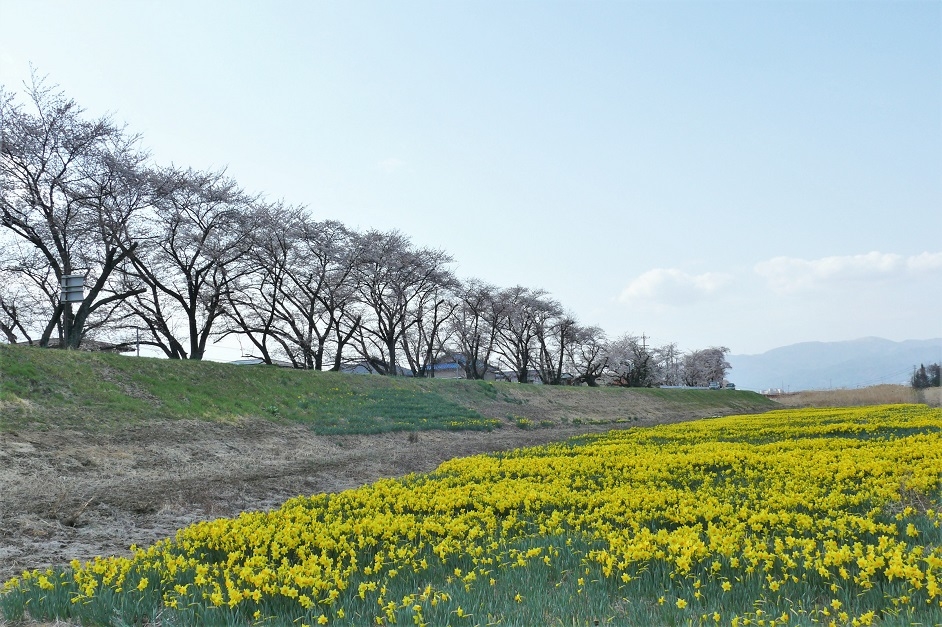http://www.alpico.co.jp/shikinomori/news/images/P1090788.JPG
