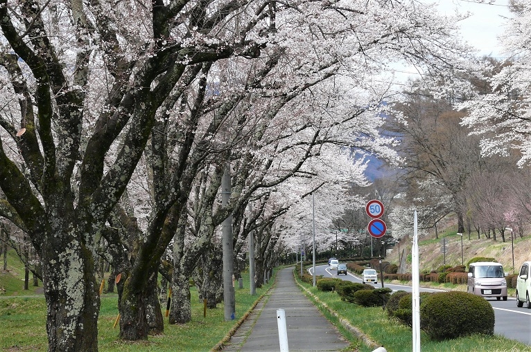 http://www.alpico.co.jp/shikinomori/news/images/P1090836.JPG