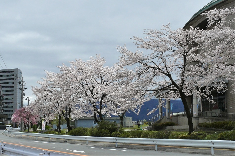 http://www.alpico.co.jp/shikinomori/news/images/P1090837.JPG