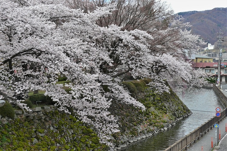 http://www.alpico.co.jp/shikinomori/news/images/P1090843.JPG