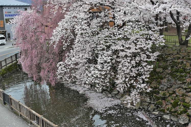 http://www.alpico.co.jp/shikinomori/news/images/P1090844.JPG