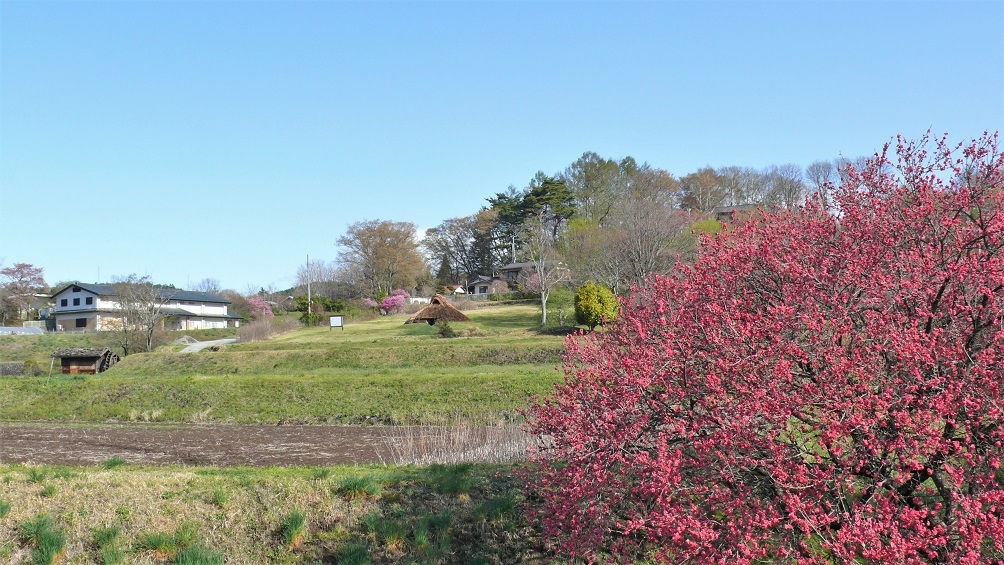 http://www.alpico.co.jp/shikinomori/news/images/P1100193.JPG