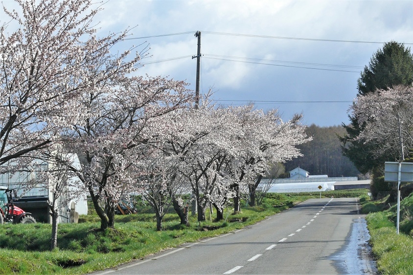 http://www.alpico.co.jp/shikinomori/news/images/P1100201.JPG