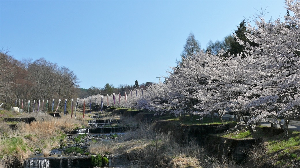 http://www.alpico.co.jp/shikinomori/news/images/P1100275.JPG