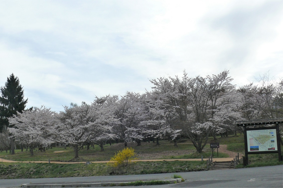 http://www.alpico.co.jp/shikinomori/news/images/P1100343.JPG