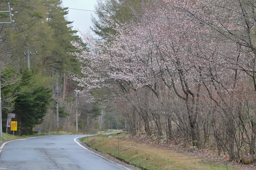 http://www.alpico.co.jp/shikinomori/news/images/P1100477.JPG